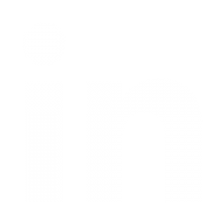 LinkedIn icon